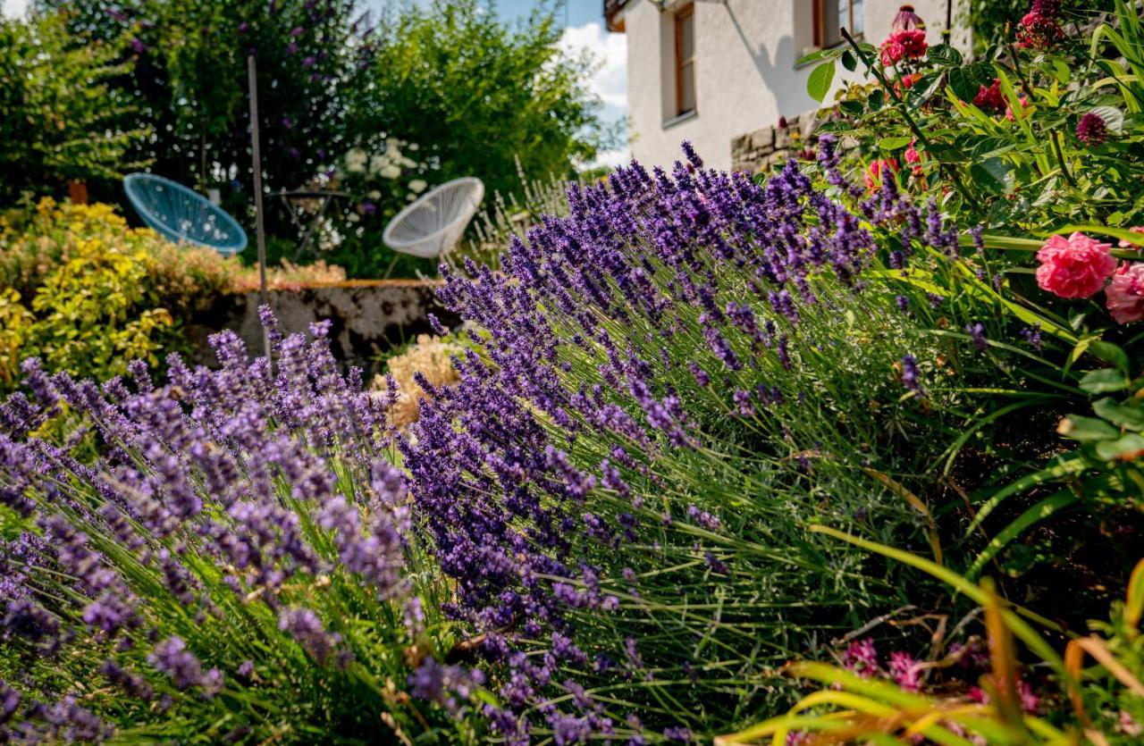 Klausnerhof Villa Aich  Bagian luar foto